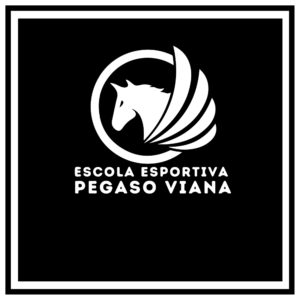 E. E. PEGASO VIANA